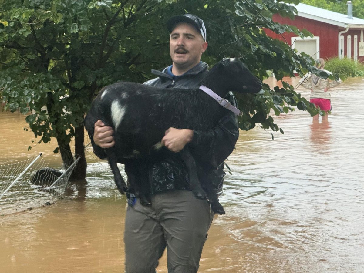 Security Officer, Adam Kuhn, rescuing a goat